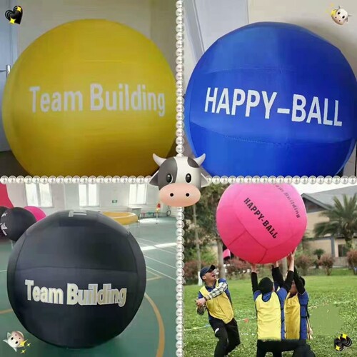健球RANK BALL 替换TPU充气内胆 户外拓展运动KIN BALL球内胆