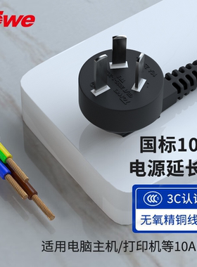TOWE同为纯铜10A16A三芯电线插头带线三孔电源连接线带插头大功率