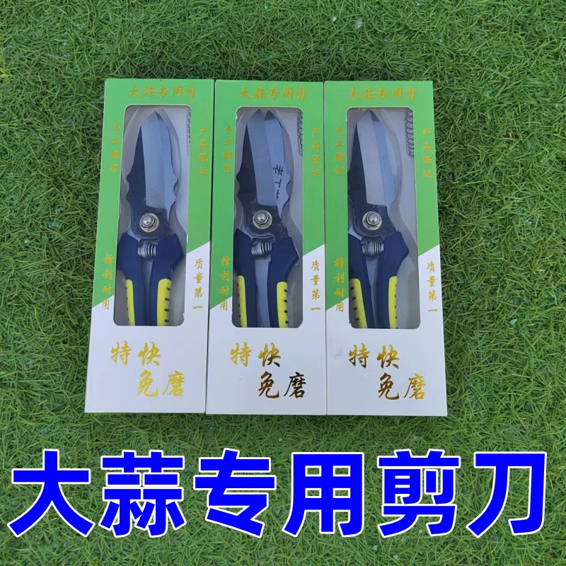 大蒜剪蔬果剪刀神器剪蒜头高硬度园林摘菜高硬度蒜须根茎农具剪刀