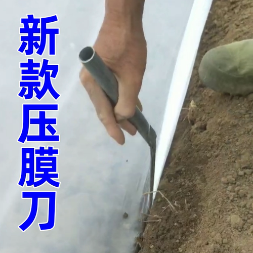 新款地膜专用压膜刀洋葱地膜覆