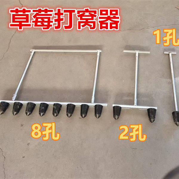 草莓打孔器种草莓神器打垄机