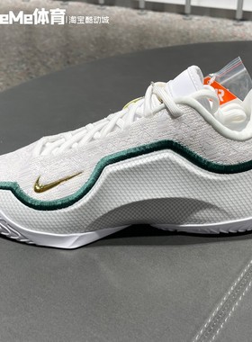 耐克男鞋2025冬新品LeBron XXIII詹姆斯实战耐磨篮球鞋IB9563-101