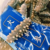 15头 包邮 斤 大连产地野生即食海参开袋即食酒席婚宴辽参不 特价