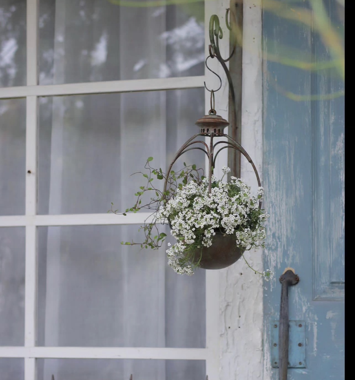 莫里斯花园 花园杂货 吊挂花架花托 鲜花速递/花卉仿真/绿植园艺 花篮 原图主图