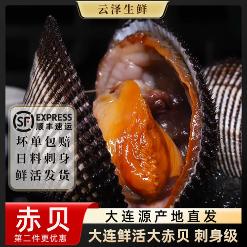 大连海鲜超大鲜活赤贝新鲜毛蚶血蛤蜊赤贝肉日料刺身即食3斤装