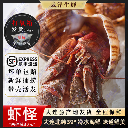 虾怪鲜活食用寄居蟹非即食新鲜特大海怪大连特产螃蟹虾生海鲜水产