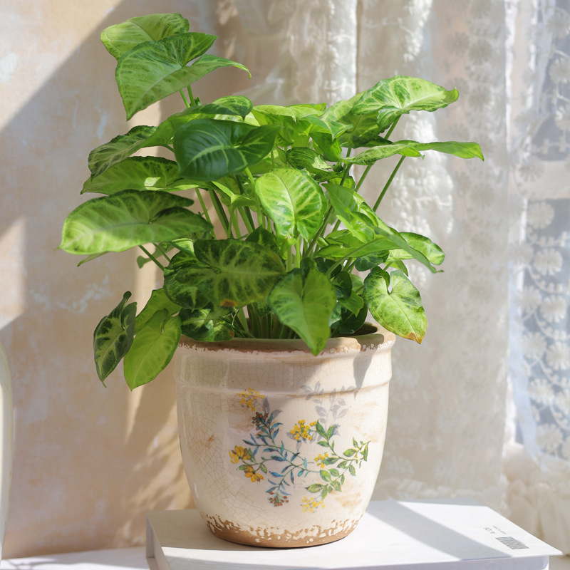 法式复古做旧陶瓷花盆园艺花卉绿植多肉北欧土培器皿艺术家居摆设