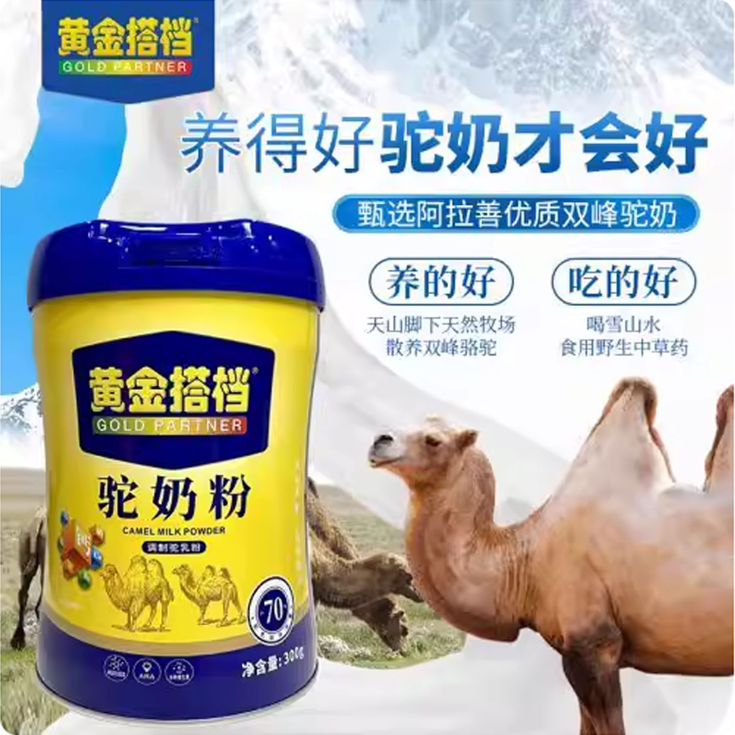 正品驼奶粉拉善丝驼黄金搭档配方驼奶粉儿童成人中老年代餐营养粉