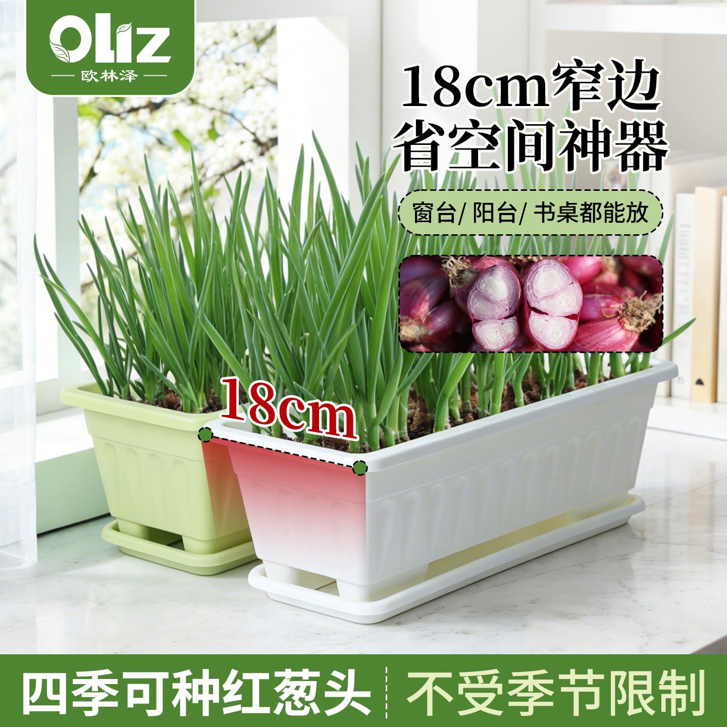 欧林泽2026新款窄边长方形花盆阳台种菜四季可种红葱韭菜头省空间