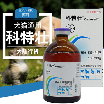 拜耳科特壮布他磷猫狗应激促食欲