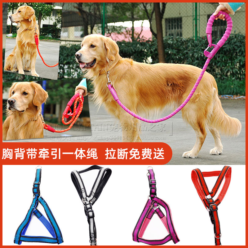 T意潇泡棉牵引绳 胸背带项圈牵引绳小中大型犬金毛牵引绳狗绳包邮