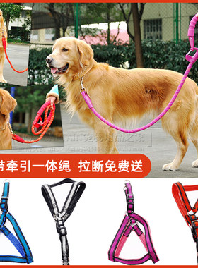 T意潇泡棉牵引绳胸背带项圈