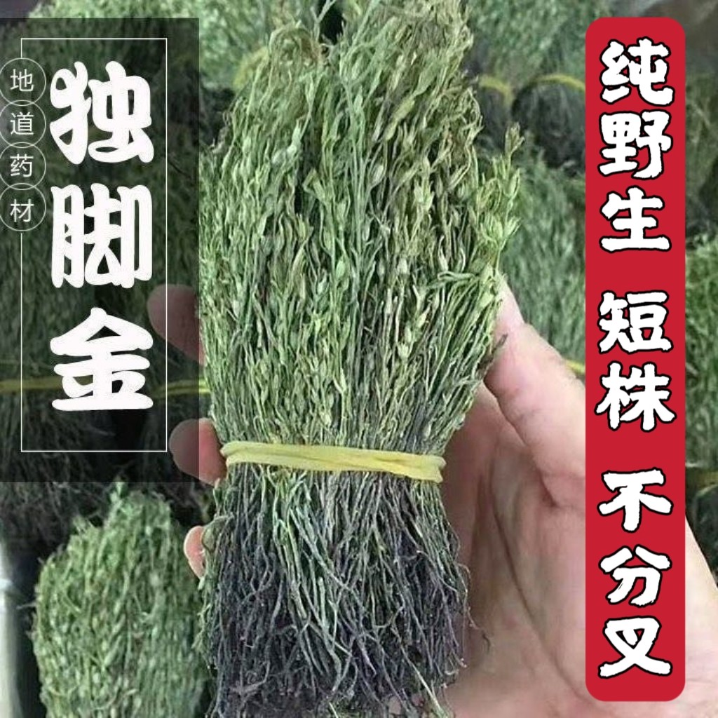 广东野生独脚金疳积草独角金小孩儿开胃消积煲炖汤干货中药材新货