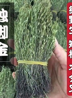 正宗本地野生短株独脚金