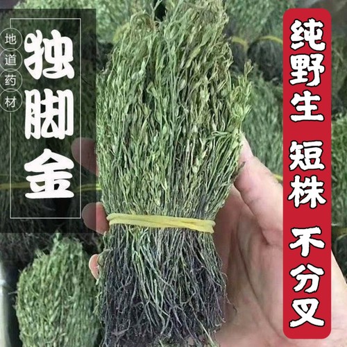 正宗本地野生短株独脚金