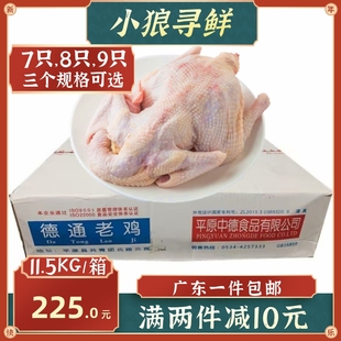 肉鸡蛋鸡淘汰鸡整箱23斤 德通老母鸡 广东 包邮 冷冻东北散养土鸡