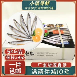 满籽多春鱼  10斤/箱 冷冻多春鱼多籽 包邮 餐厅酒店 单冻多春鱼