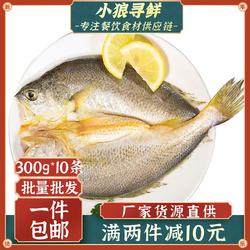 黄花鱼 新鲜冷冻300g*10条 开背小黄鱼大黄花鱼海鲜水产 大黄鱼鲞