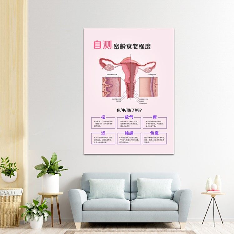墙画装饰挂画产科美容院私密保养