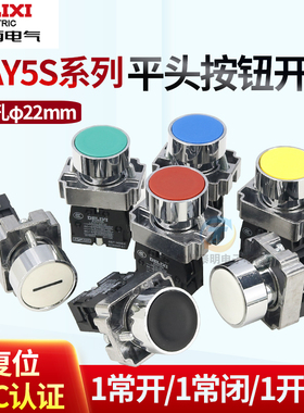 德力西按钮开关22mm平头点动自复位绿色BA31常开LAY5S红色常闭A42