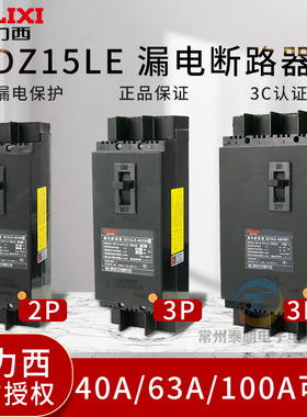 德力西DZ15LE塑壳220V漏电保护器100/4901断路器32A空开开关63A