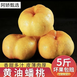 彩虹油蟠桃桃子5斤黄金奶油扁甜蜜潘桃新疆新鲜水果当季整箱