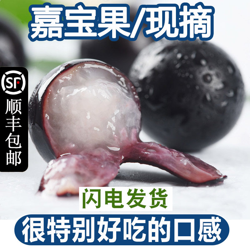 顺丰树葡萄鲜果新鲜孕妇水果现摘嘉宝果2斤罕见稀奇古怪的水果图片