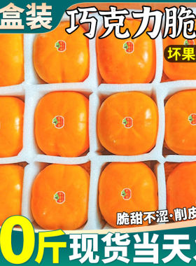 顺丰精品大果 广西脆巧克力柿子冷冻水果冰糖心当季现摘现发整箱5