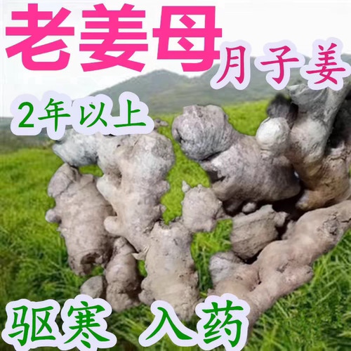 2年多老姜母2斤5斤10斤 土生姜特老老姜月子姜 小黄姜品种 无硫磺
