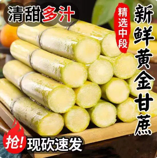 2026现砍现发广西黄皮甘蔗新鲜水果当季脆甜黄金甘蔗农家自种特产