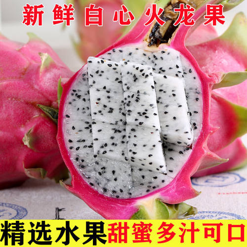 新鲜爽口白心火龙果白肉越南热带火龙果应季孕妇水果整箱批