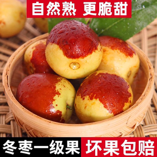 山东沾化冬枣新鲜大枣冰糖脆甜特大5斤孕妇水果当季枣子整箱