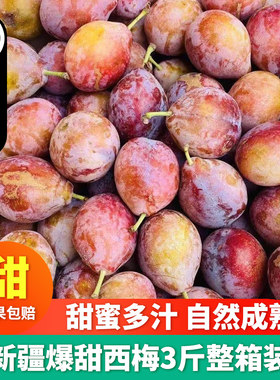 【北京当日达】正宗新疆西梅3斤整箱爆甜法兰西西梅新鲜李子