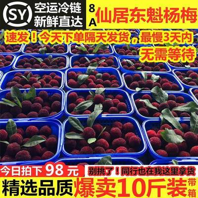 仙居冰冻杨梅新鲜好吃现发东魁大杨梅新鲜当季水果整箱5斤