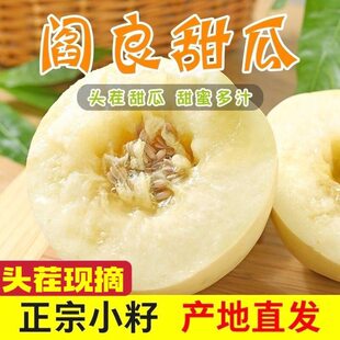 阎良甜瓜陕西新鲜时令白香瓜整箱水果本地白皮蜜瓜头茬小籽大果甜