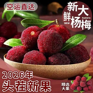 2026新鲜杨梅现摘现发云南石屏杨梅荸荠杨梅鲜果真空空运发货水果