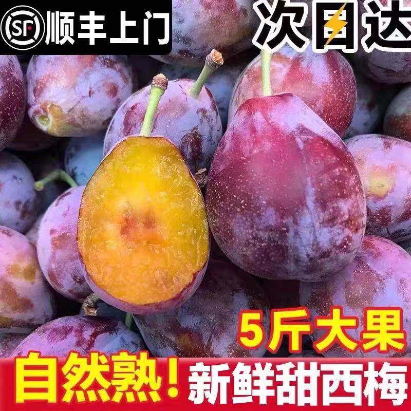 顺丰 智利进口西梅5斤李子新鲜水果蜂糖脆特大果当季整箱孕妇