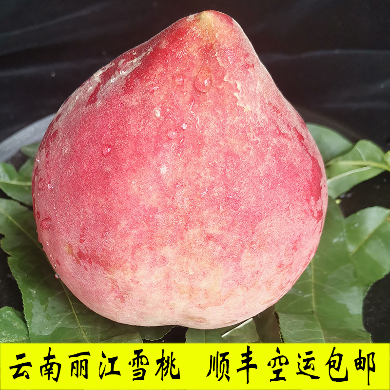 丽江雪桃正宗云南脆甜桃现摘现发新鲜桃寿桃新鲜当季水果顺丰