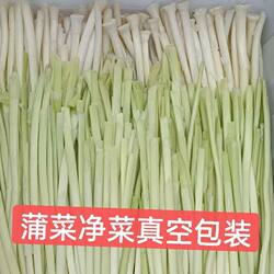 苏北特产淮安蒲菜淮扬菜蒲儿菜蒲笋净菜酒店饭店野茭白真空包装