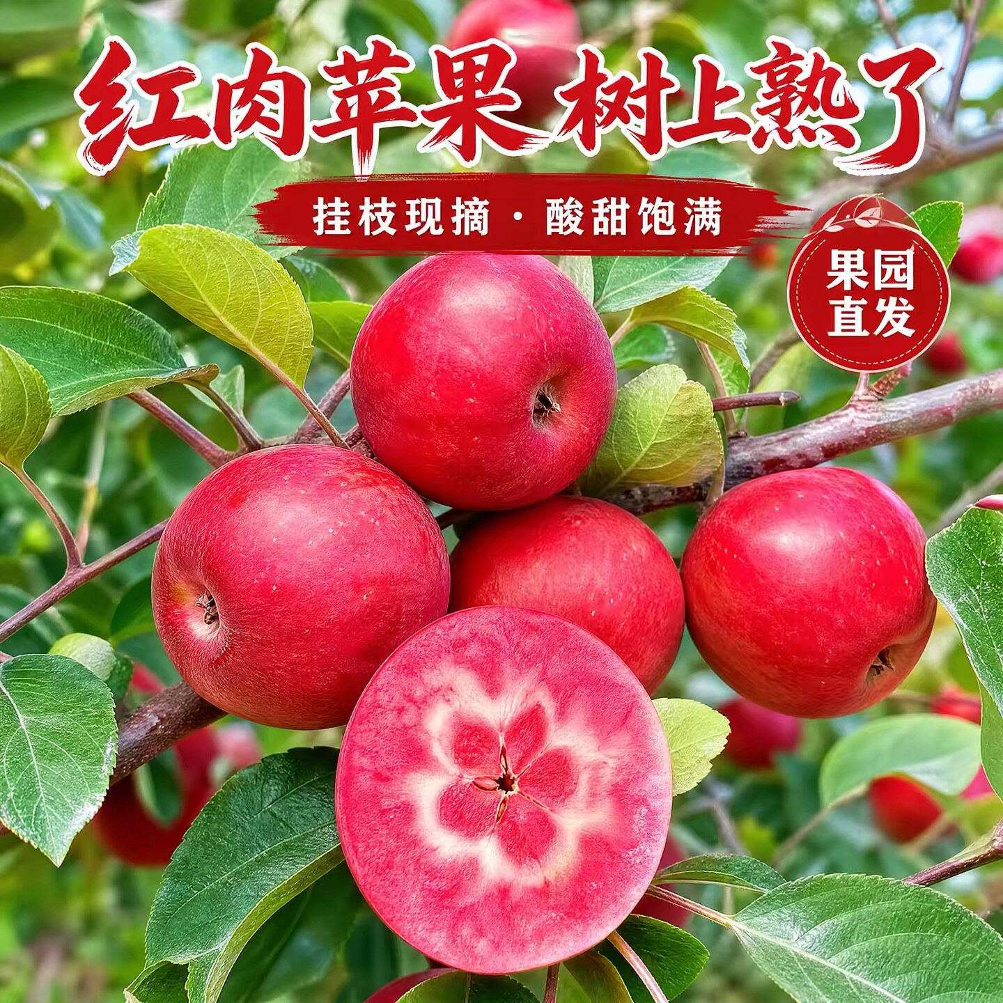 顺丰果园直发红色挚爱红肉苹果新鲜孕妇水果应当季红壤糖心平果