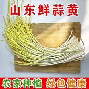 山东农家新鲜蒜黄5斤当季现割现发韭黄蒜苗时令蔬菜新鲜