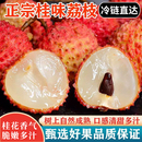 整箱现摘老树纯甜孕妇 顺丰冷链冰冻广西灵山桂味荔枝新鲜水果当季