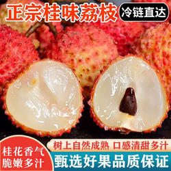 顺丰冷链冰冻广西灵山桂味荔枝新鲜水果当季整箱现摘老树纯甜孕妇