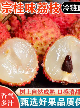 顺丰冷链冰冻广西灵山桂味荔枝新鲜水果当季整箱现摘老树纯甜孕妇