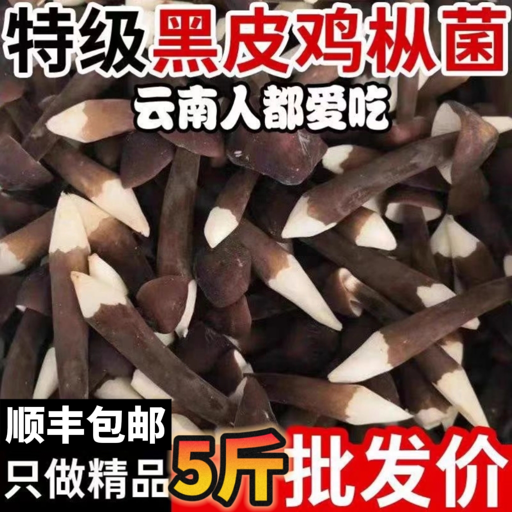 农家黑皮鸡枞菌新鲜鸡枞菇5斤/10斤炒菜火锅黄焖鸡米线餐饮装
