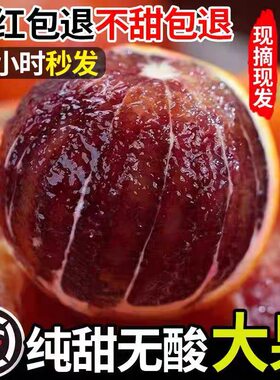 正宗纯甜塔罗科血橙子新鲜10斤大果四川资中玫瑰香雪红橙当季水果