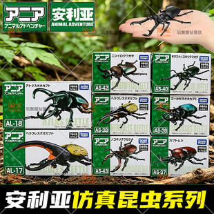 TOMY多美卡安利亚仿真野生动物模型甲虫独角仙昆虫瓢虫玩具摆件男