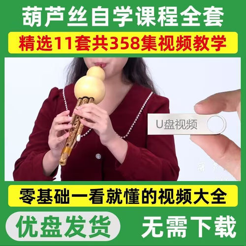 葫芦丝U盘视频教程零基础入门