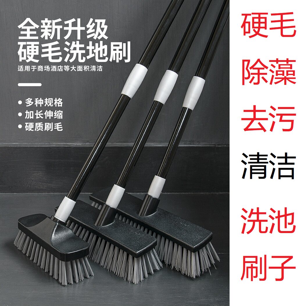 鱼池硬毛除藻清洁刷工具