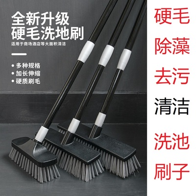 鱼池硬毛除藻清洁刷工具